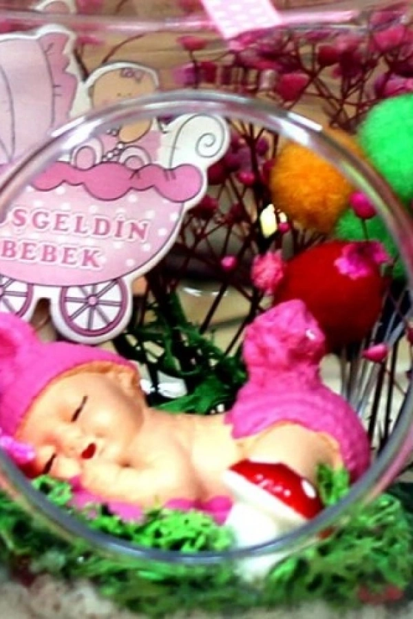 Hoşgeldin Bebek Kız Elma Teraryum 2