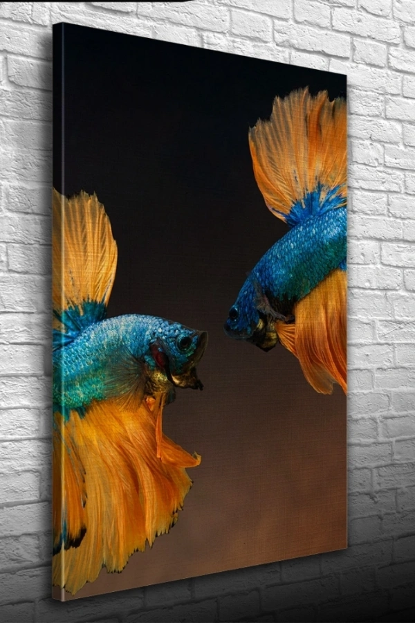 İki Mavi Balık Kanvas Tablo 50 x 70