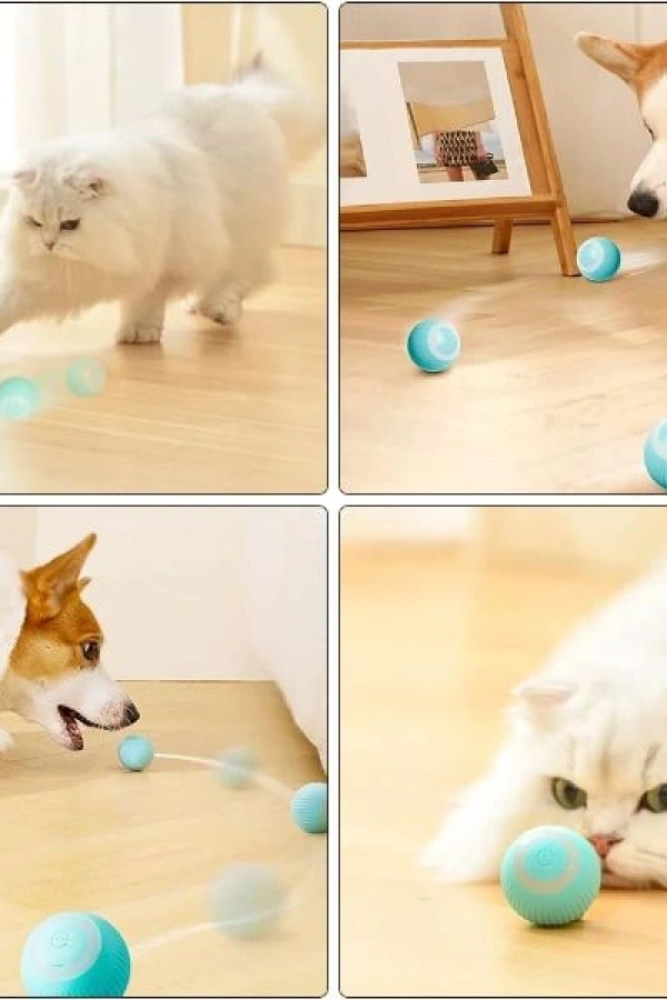 İnteraktif Kedi Köpek Şarjlı Oyun Topu