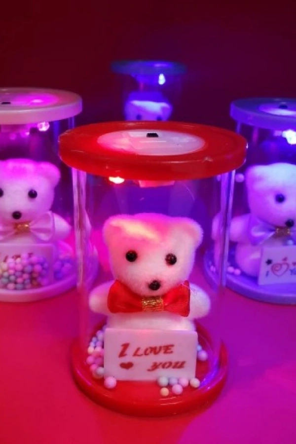 Işıklı Cam Fanus İçinde Ayıcık