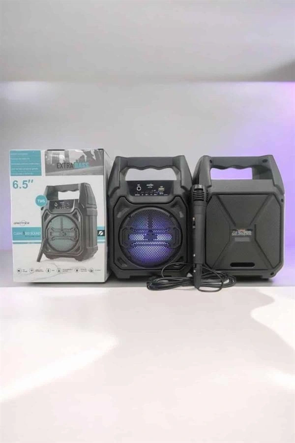 Kablosuz 6.5 İnç TWS Bluetooth Hoparlör
