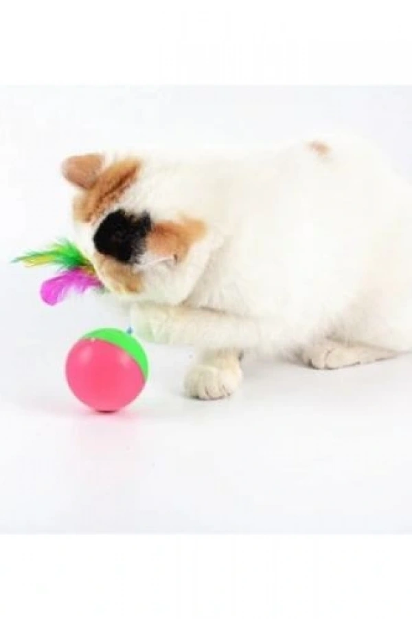 Kedi Fare Hacıyatmaz Oyunu