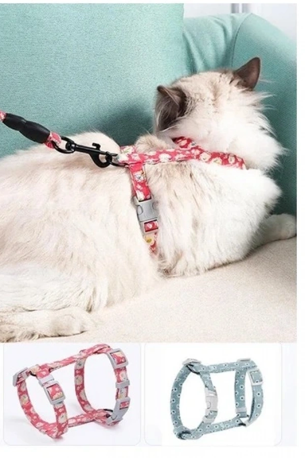 Kedi Gezdirme Göğüs Tasması