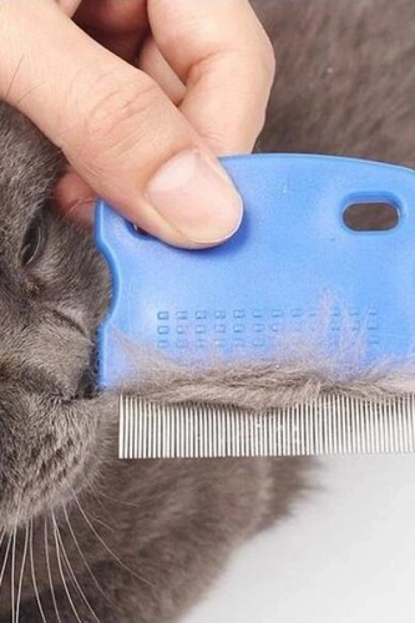 Kedi Köpek İçin Bit Pire Tarağı