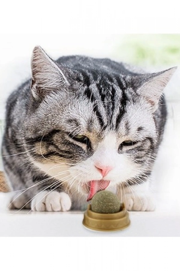 Kedi Nanesi Oyun Topu