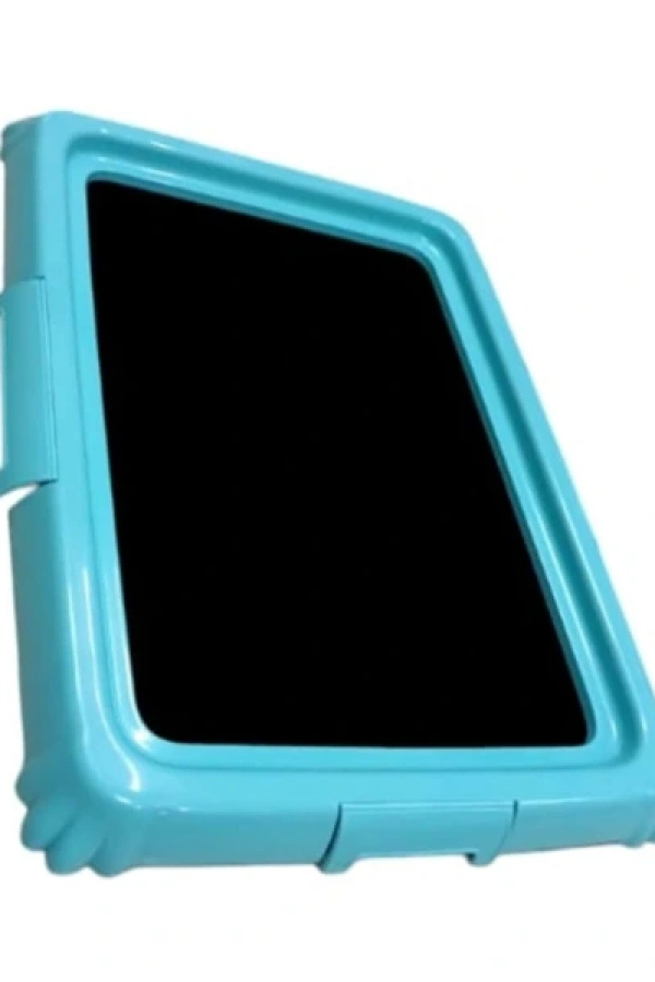 Köpek Eğitim Tuvaleti