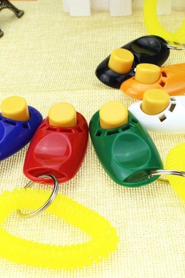 KÖPEK EĞITIMI CLICKER