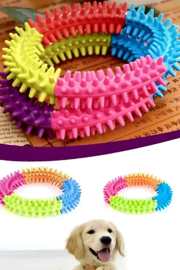 Köpek Isırma Diş Kaşıma Çemberi