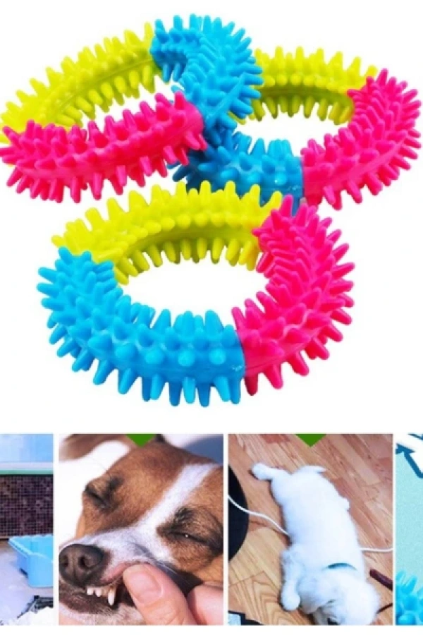 Köpek Isırma Diş Kaşıma Çemberi