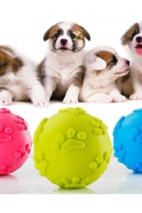 Köpek Isırma Topu Pati Desenli 1291
