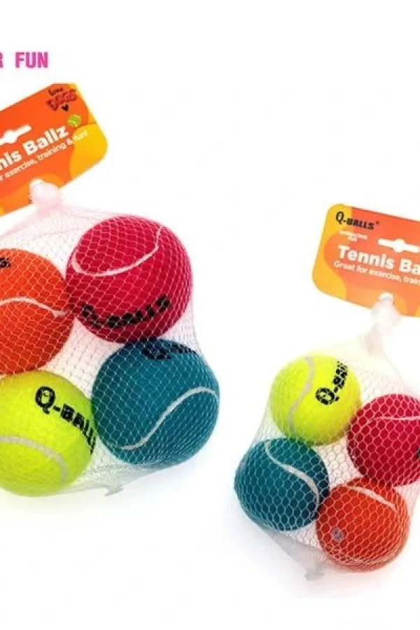 Köpek Oyun Topu 4 Adet