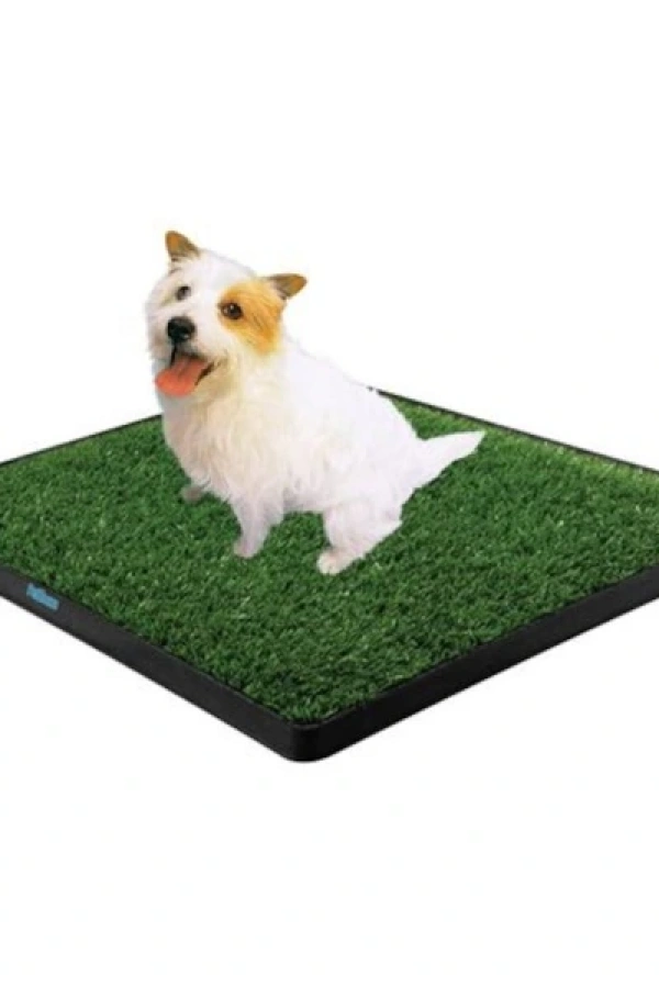 Köpek Tuvalet Eğitim Seti