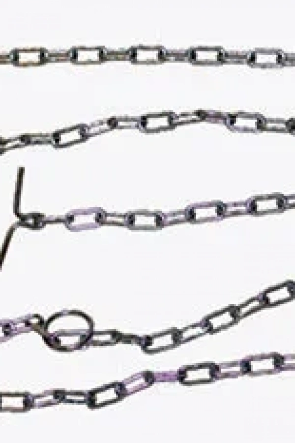 Köpek Zinciri - 4x200 - 1 Adet