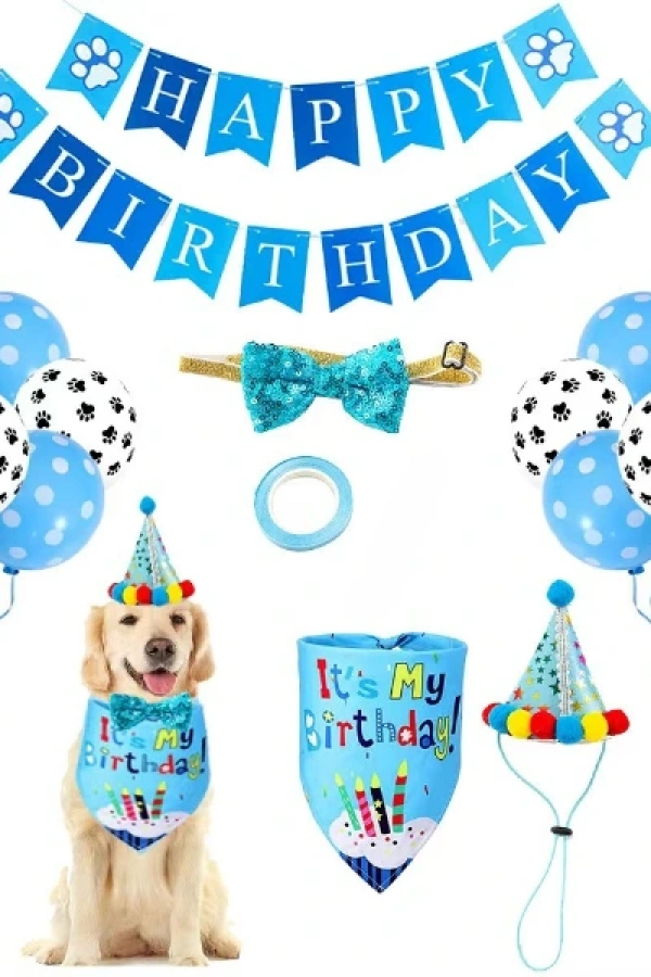 Köpekler İçin Doğum Günü Partisi Seti