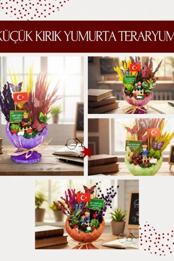 Küçük Kırık Yumurta Teraryum - Öğretmenler Günü Hediyesi