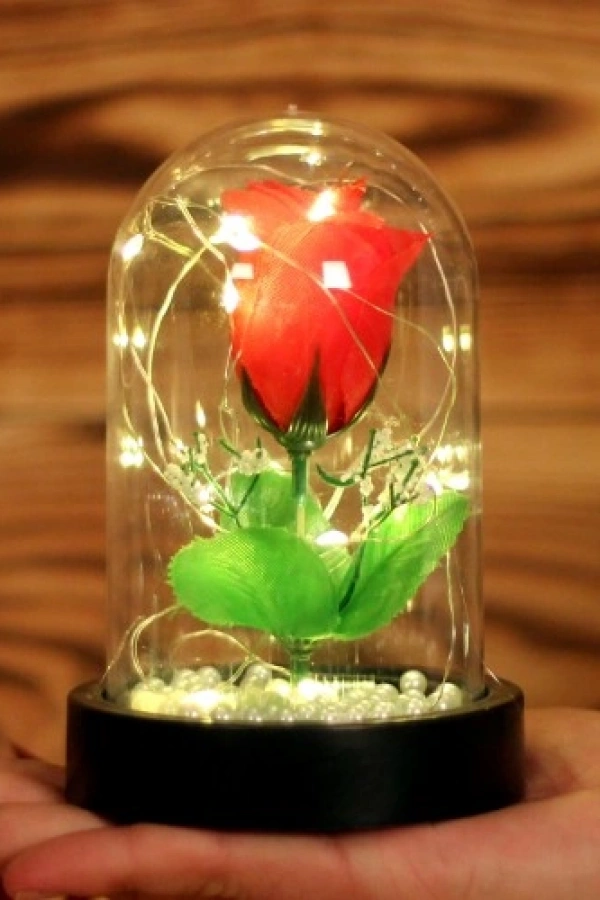 Led Işıklı İncili Fanus Gül