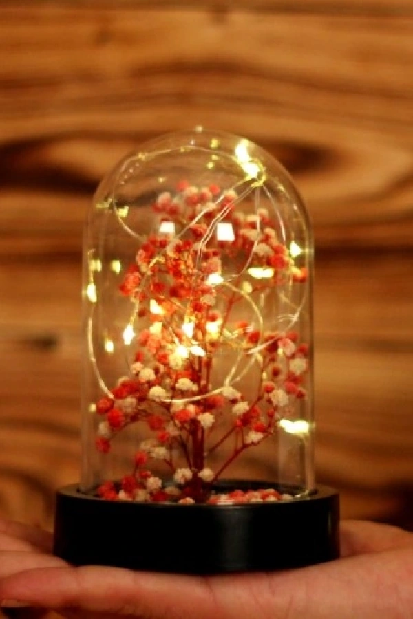 Led Işıklı Mini Ağaç Fanus Teraryum