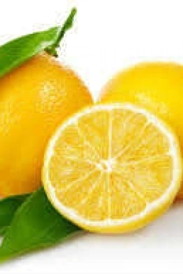 Limon Bonesi / 100 Adet / Bitki Çayı Bonesi