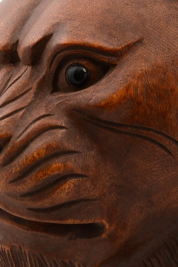 Maun Ağacı El Yapımı Dekoratif Aslan Büstü