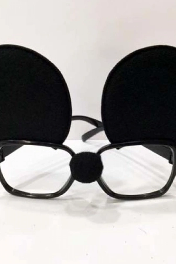 Mickey Mouse Gözlük Seti