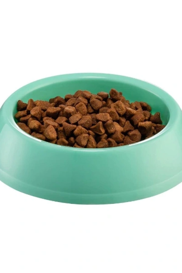 Mikopet Büyük Mama Kabı