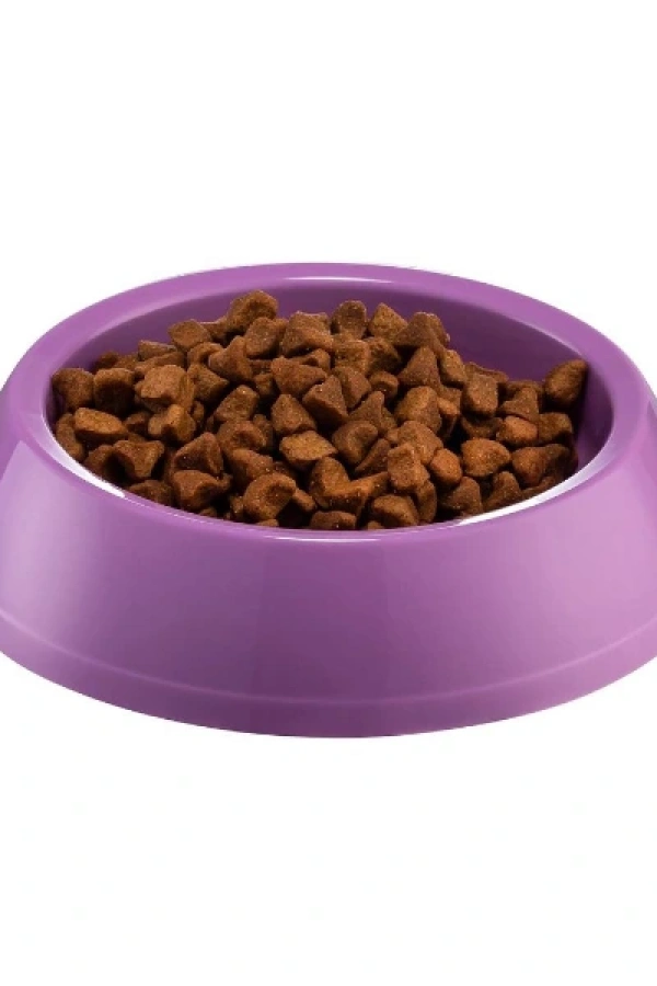 Mikopet Küçük Yuvarlak Mama Kabı