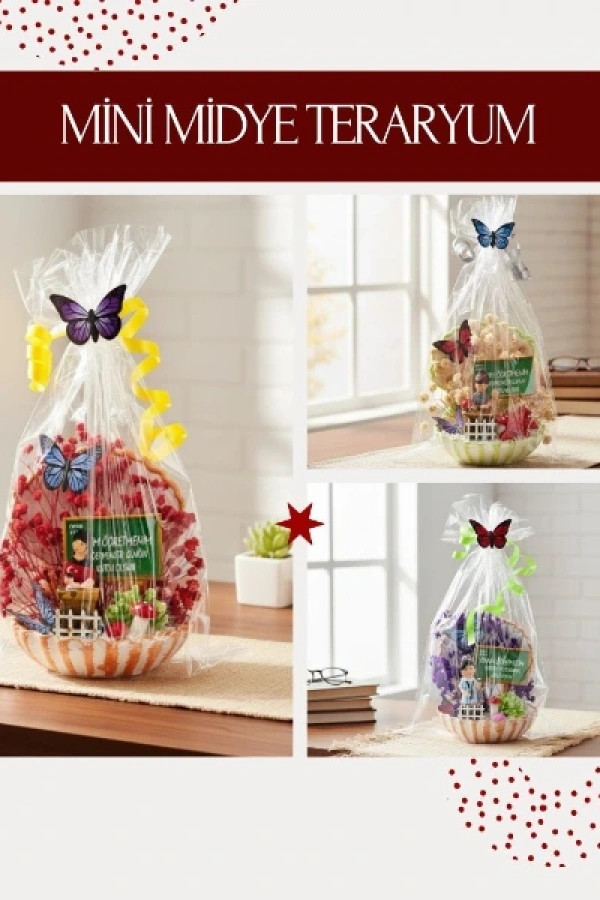 Mini Midye Teraryum - Öğretmenler Günü Hediyesi