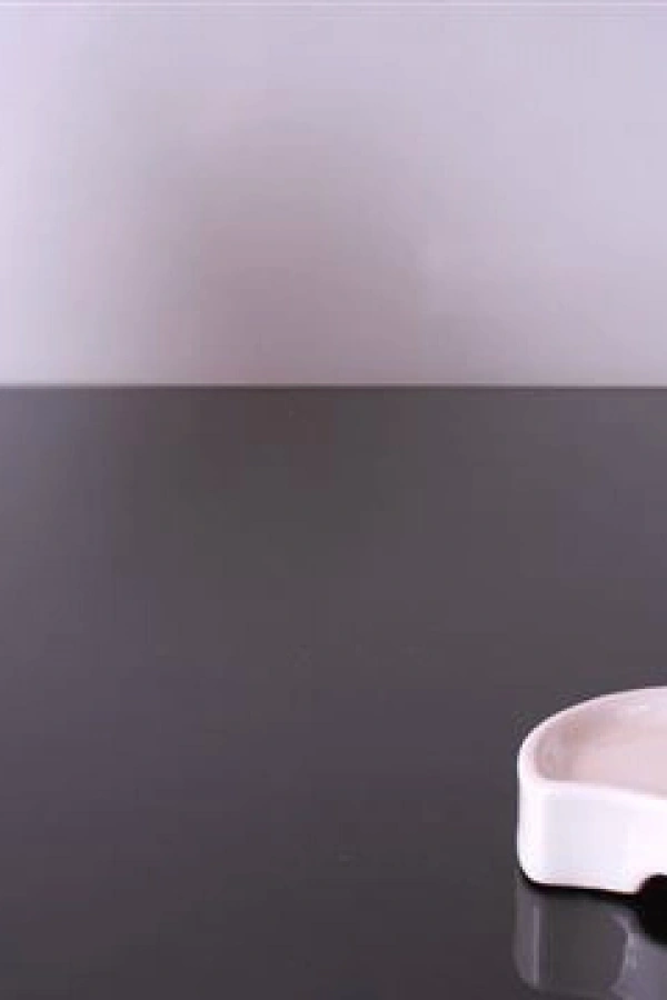 Mucize Seramik Süt Taşırmaz