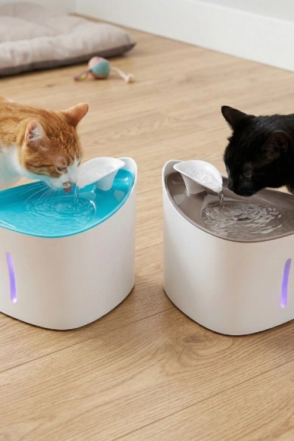 Otomatik Kedi Su Pınarı
