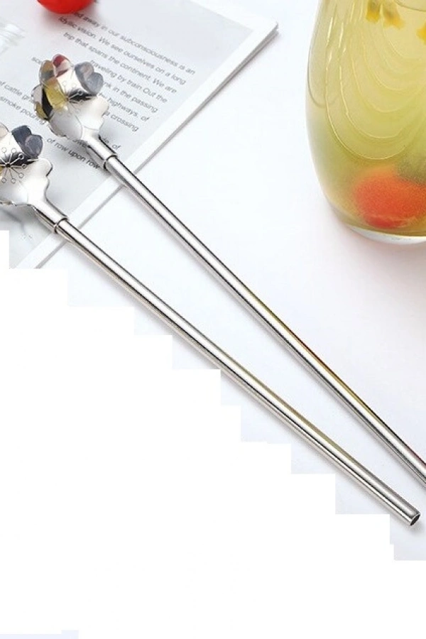 Paslanmaz Metal 2 li Kaşıklı Pipet Fırça Seti