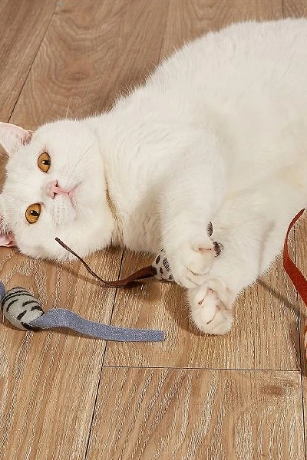 Peluş Fare Kedi Oyuncağı 3 Adet