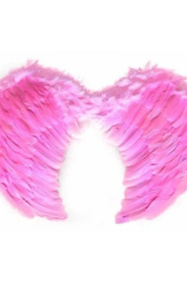 Pembe Melek Kanadı Kostümü Küçük