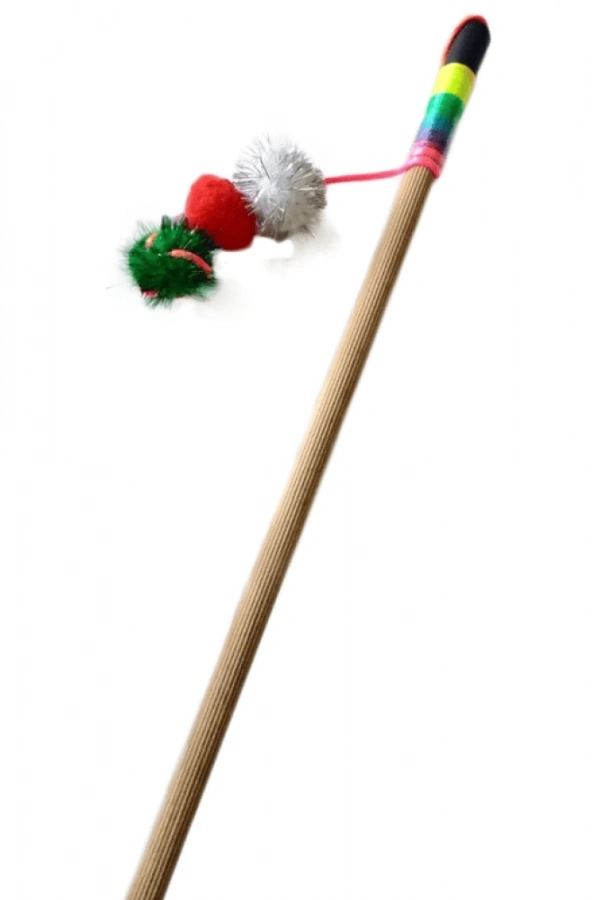 Petzoom Kedi OLTASI 1184