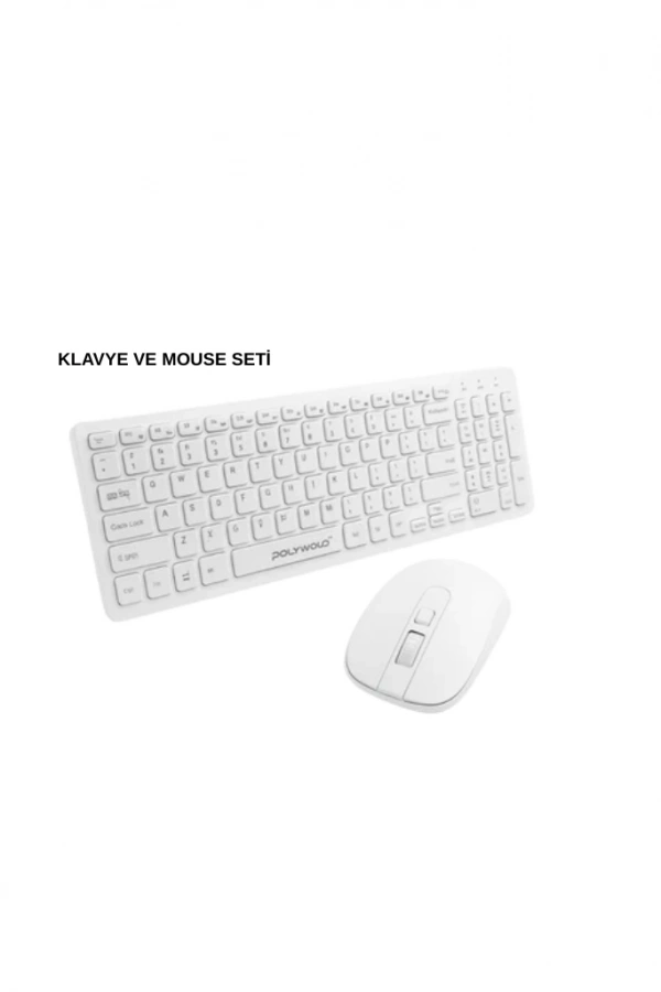 PG-8040 KLAVYE VE MOUSE SETİ