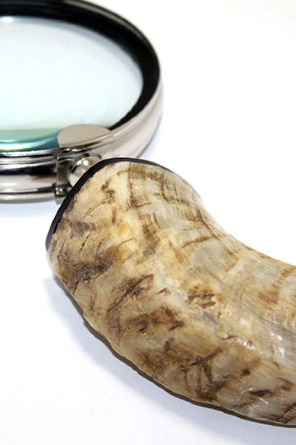 Pirinç Boynuz Saplı Büyüteç Model 1