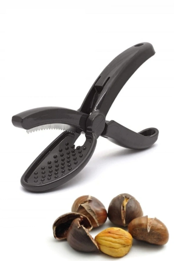 Plastik Kestane Çizeceği