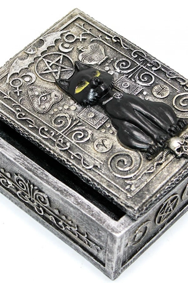 Polyester Kedi Tasarımı Kutu