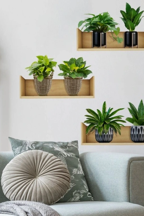 Raflı Bitki Tasarımlı Yapışkanlı Sticker 20*30 cm 3lü Set