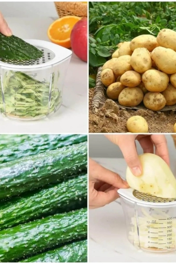 Rendeli Narenciye Sıkacağı