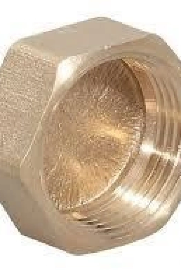 Sarı Manşon Körtapa 1