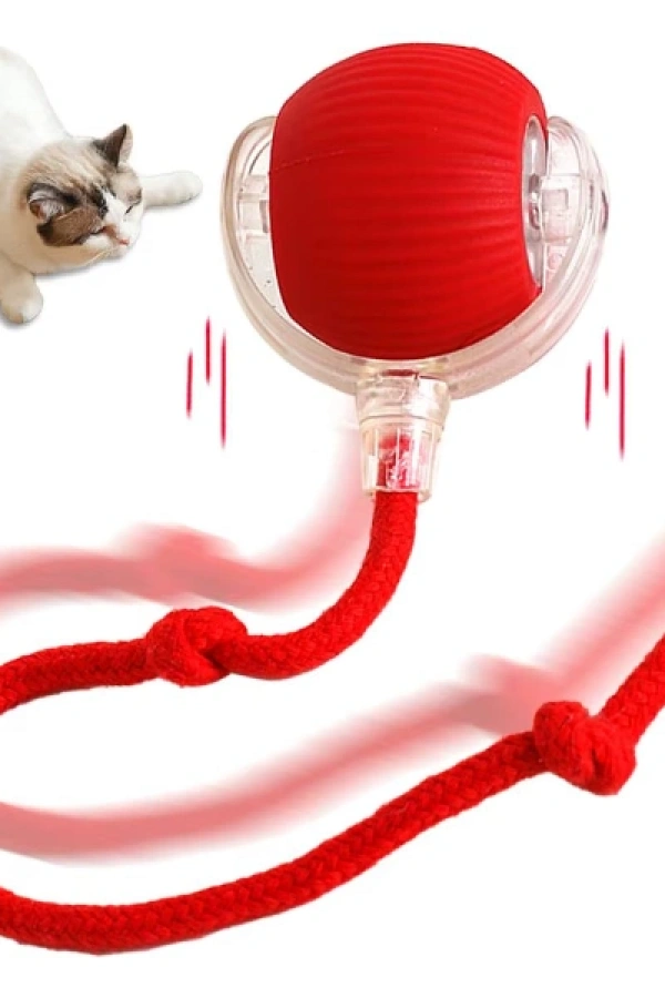 Şarjlı Kedi Oyuncağı