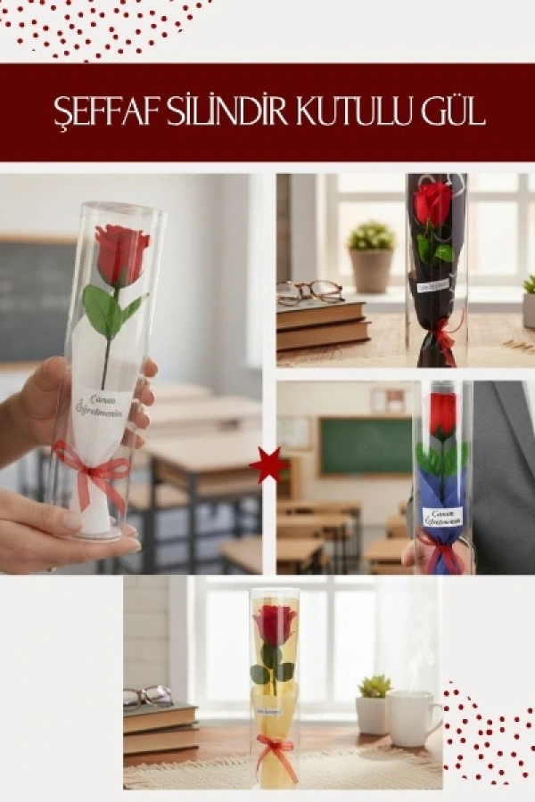 Şeffaf Silindir Kutulu Gül - Öğretmenler Günü Hediyesi