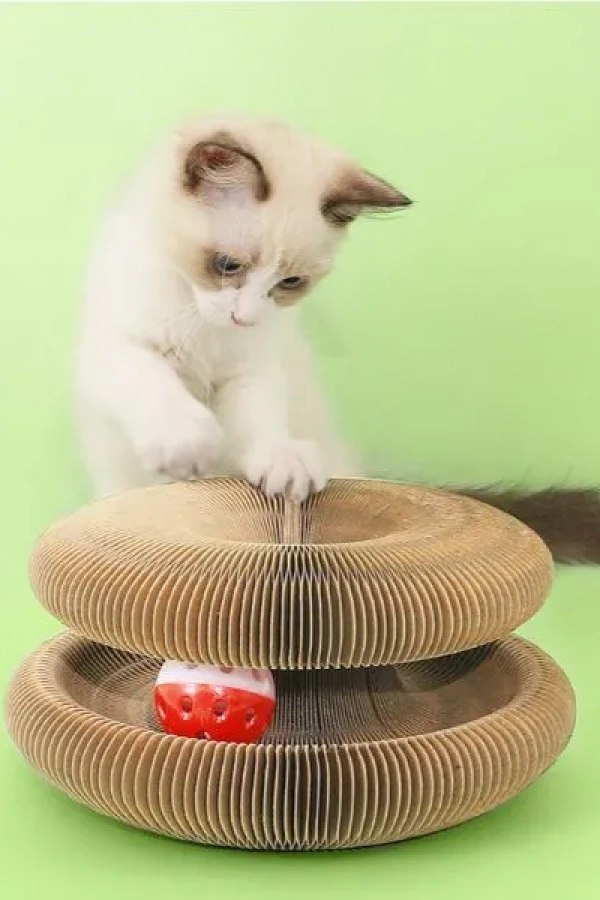 Şekillendirilebilir Kedi Oyun Alanı