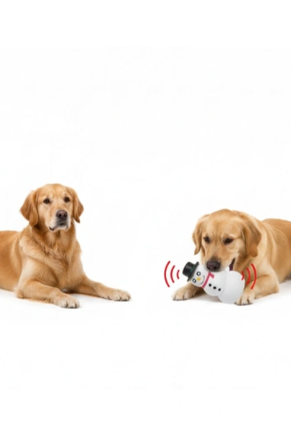 Sesli Kardan Adam Tasarımlı Oyuncak