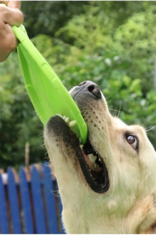 Silikon Frizbi Köpek Oyuncağı