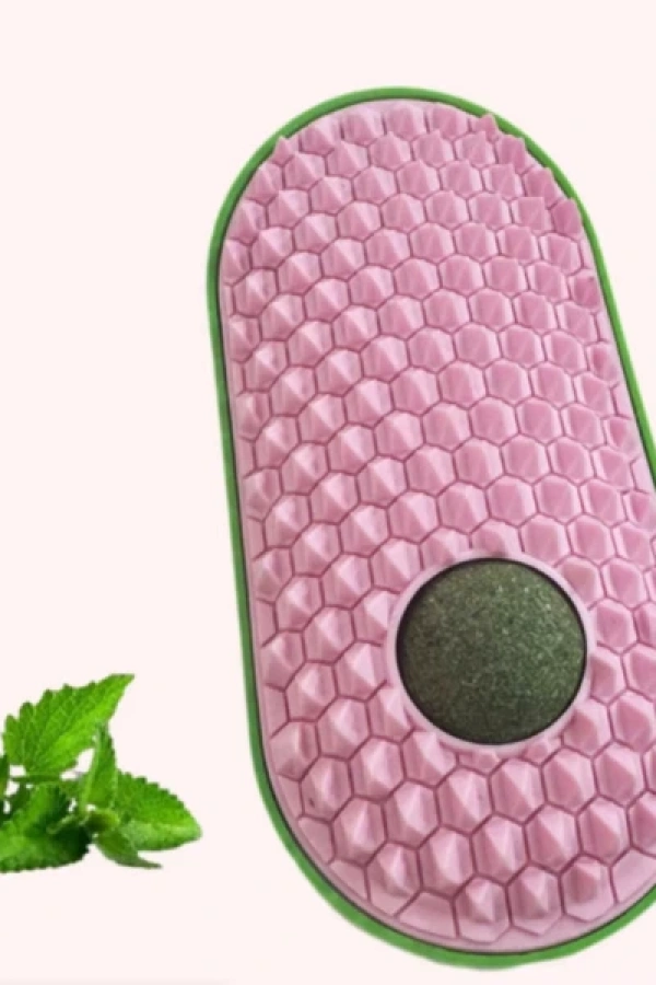 Silikon Kaşıyıcılı Kedi Otu