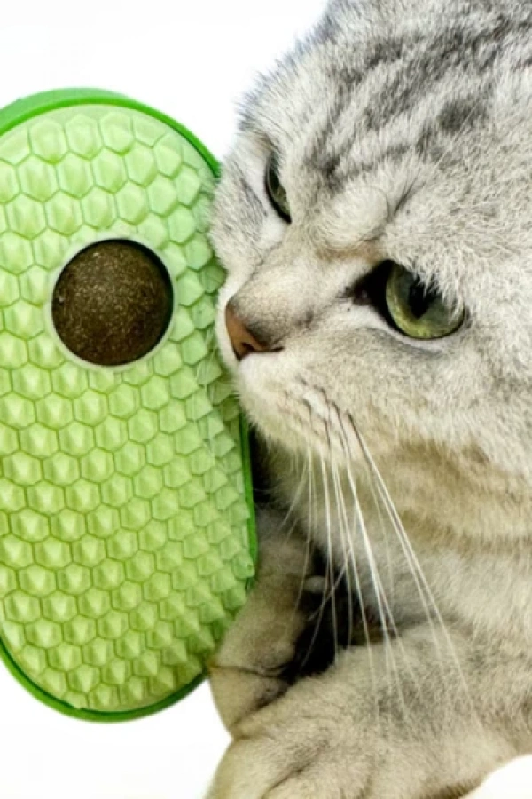 Silikon Kaşıyıcılı Kedi Otu