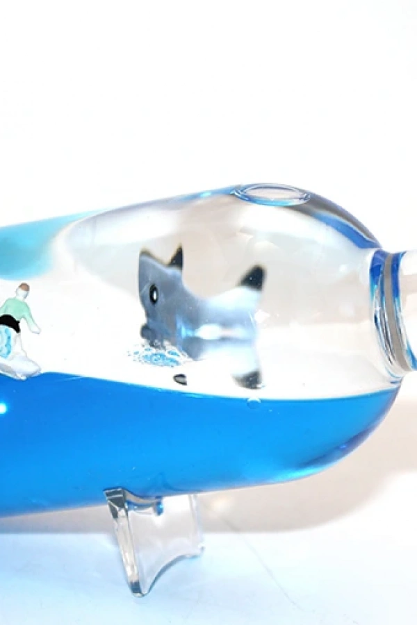 Şişe İçinde Batmayan Gemi Model 2