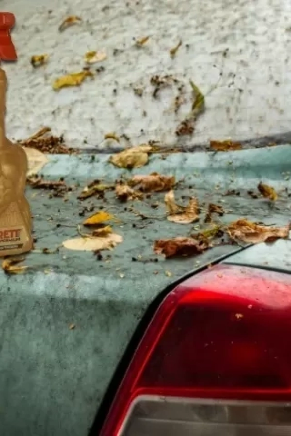 SİTRETT MX Çok Amaçlı Temizleyici Premium 700 Gr.