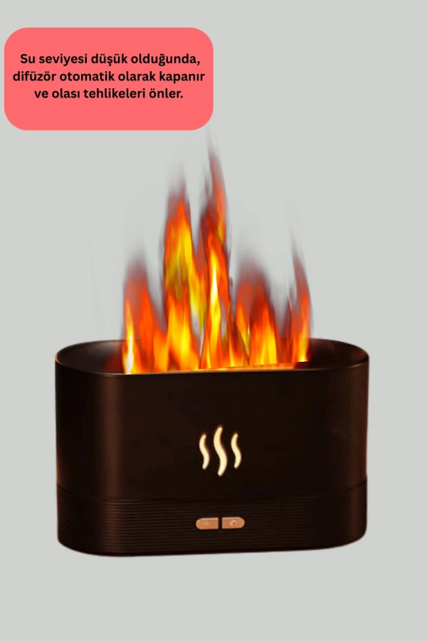 SL169 NEMLENDİRİCİ